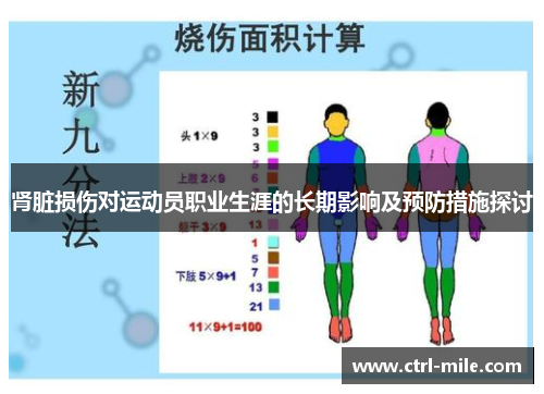 肾脏损伤对运动员职业生涯的长期影响及预防措施探讨