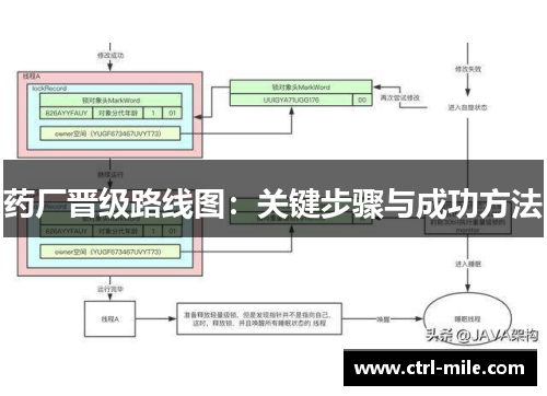 药厂晋级路线图：关键步骤与成功方法