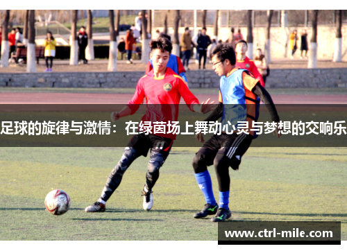 足球的旋律与激情：在绿茵场上舞动心灵与梦想的交响乐