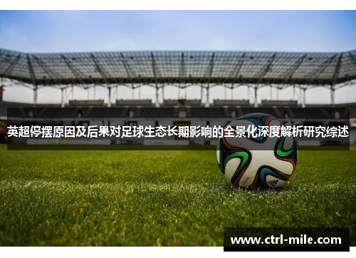 英超停摆原因及后果对足球生态长期影响的全景化深度解析研究综述 英超停摆原因及后果对足球生态长期影响的全景化深度解析研究综述
