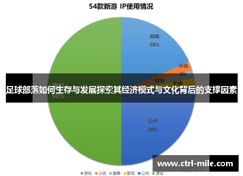 足球部落如何生存与发展探索其经济模式与文化背后的支撑因素