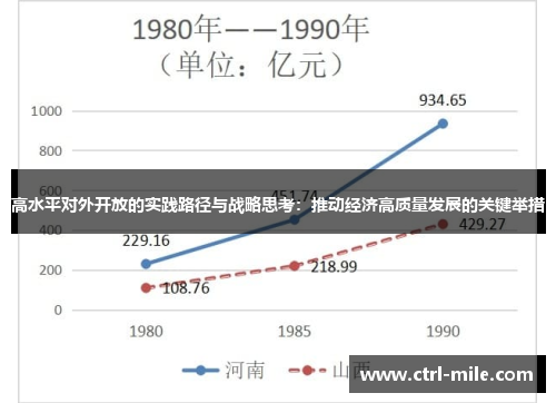 高水平对外开放的实践路径与战略思考：推动经济高质量发展的关键举措